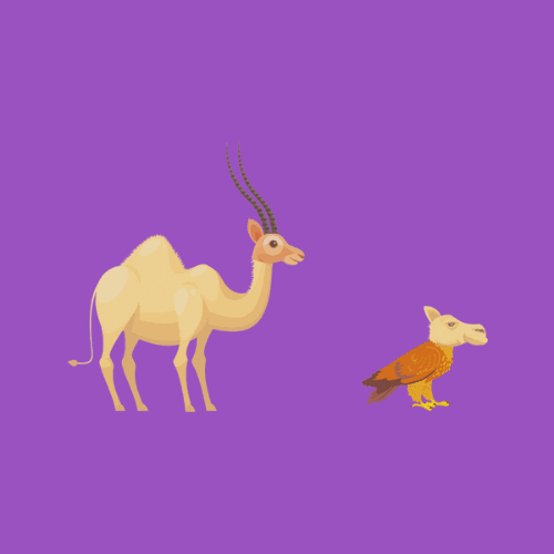 Urne e animali