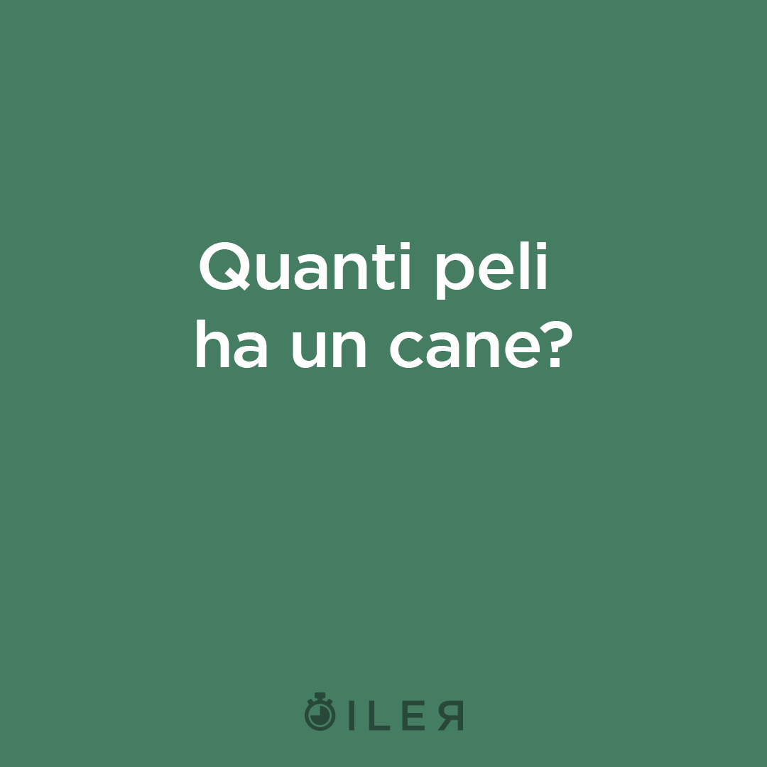 quanti peli ha un cane