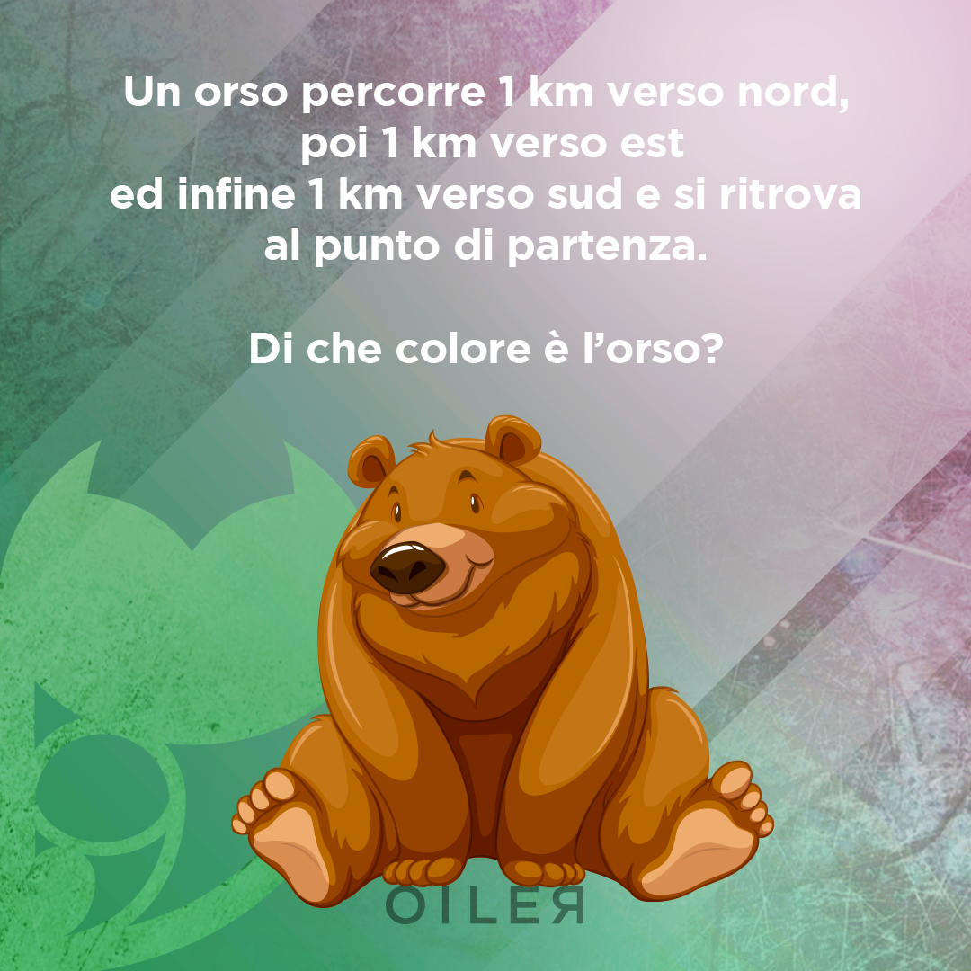 un orso percorre 1 km verso nord 1 km verso est 1 km verso sud che colore è